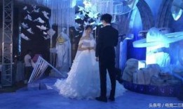 网爆婚礼爆料视频大全集,揭秘甜蜜背后的故事